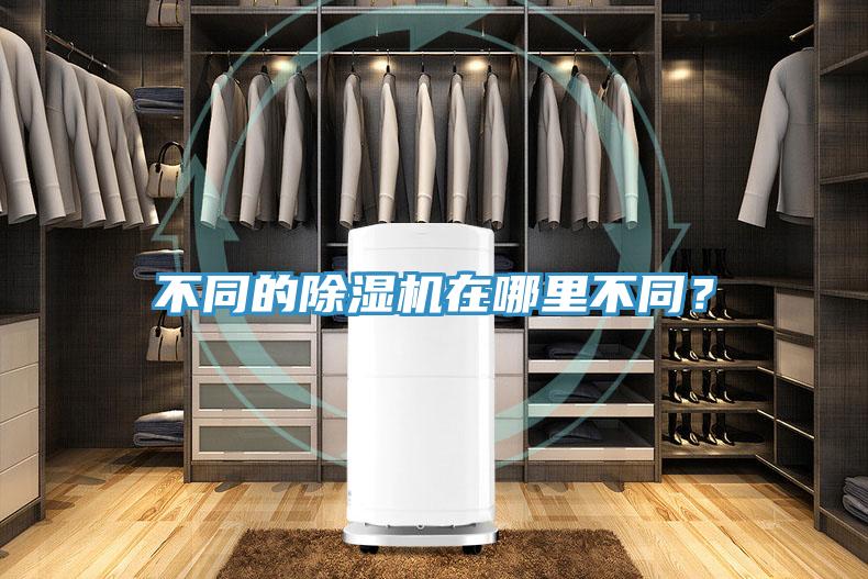 不同的91看片软件大全在哪裏不同？