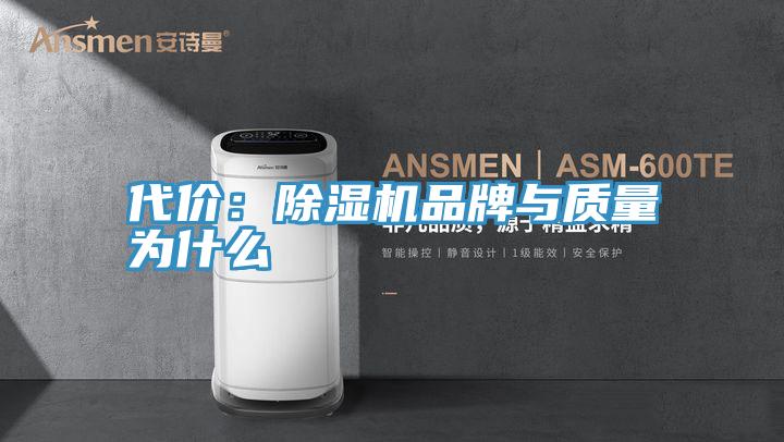代價：91看片软件大全品牌與質量為什麽