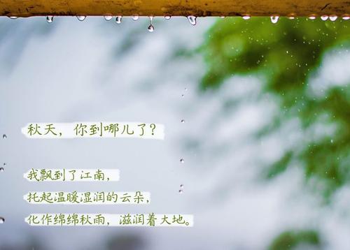 “無晴”陰雨天 “有晴”91看片软件大全
