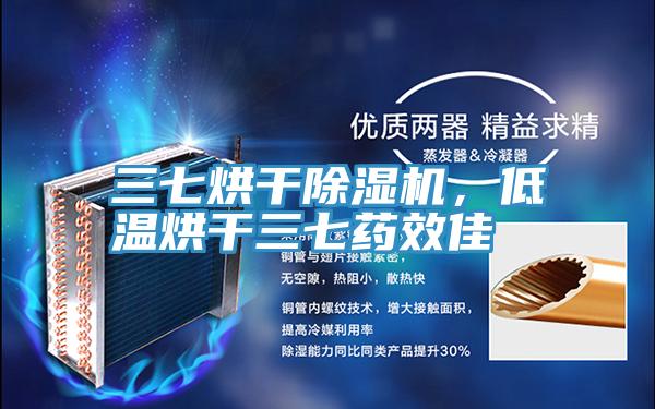 三七烘幹91看片软件大全，低溫烘幹三七藥效佳