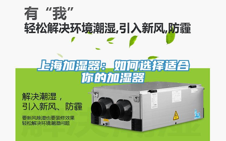 上海加濕器：如何選擇適合你的加濕器