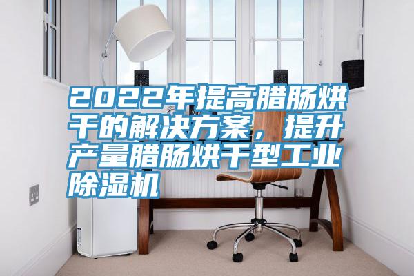 2022年提高臘腸烘幹的解決方案，提升產量臘腸烘幹型工業91看片软件大全