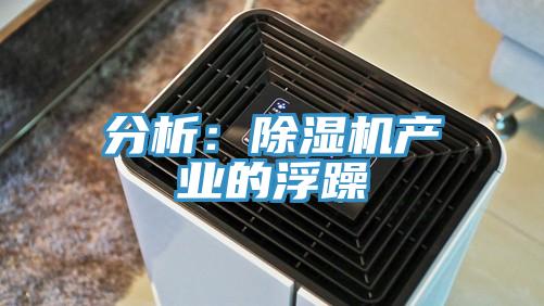 分析：91看片软件大全產業的浮躁