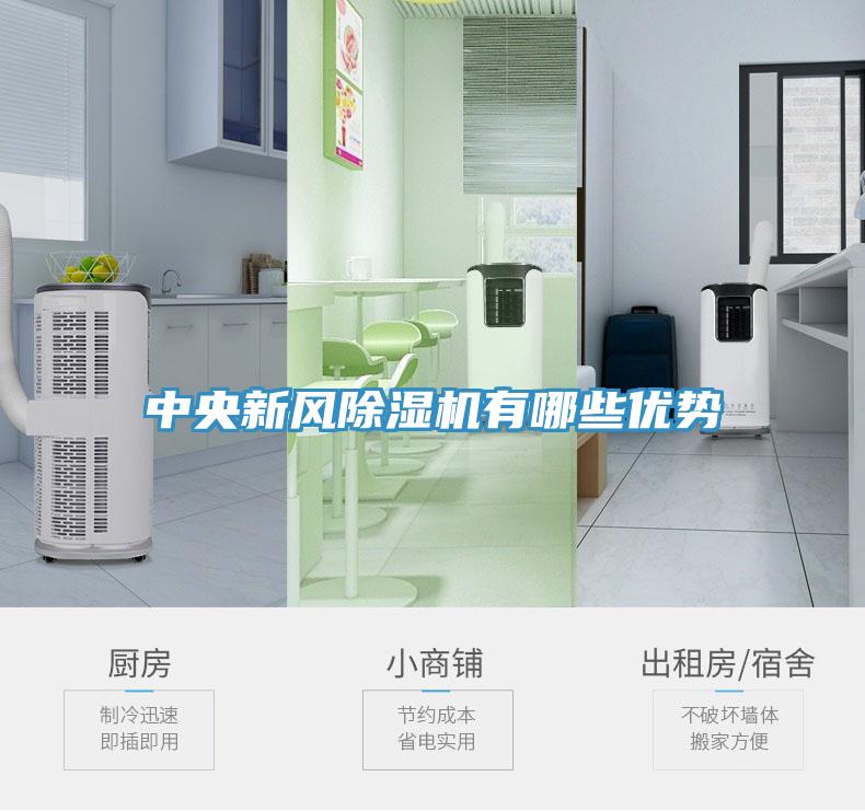 中央新風91看片软件大全有哪些優勢