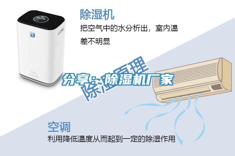 分享：91看片软件大全廠家