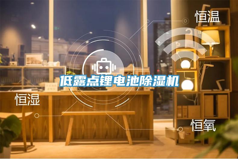 低露點鋰電池91看片软件大全
