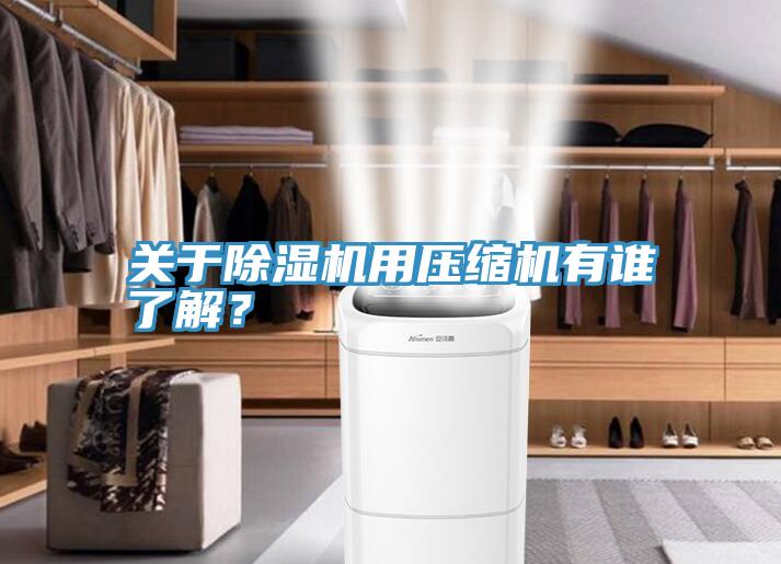 關於91看片软件大全用壓縮機有誰了解？