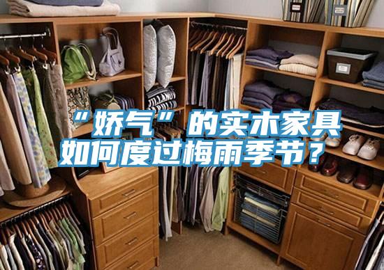 “嬌氣”的實木家具如何度過梅雨季節？