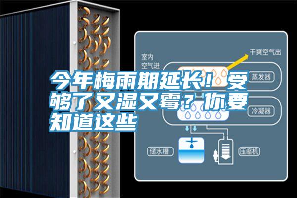 今年梅雨期延長！受夠了又濕又黴？你要知道這些