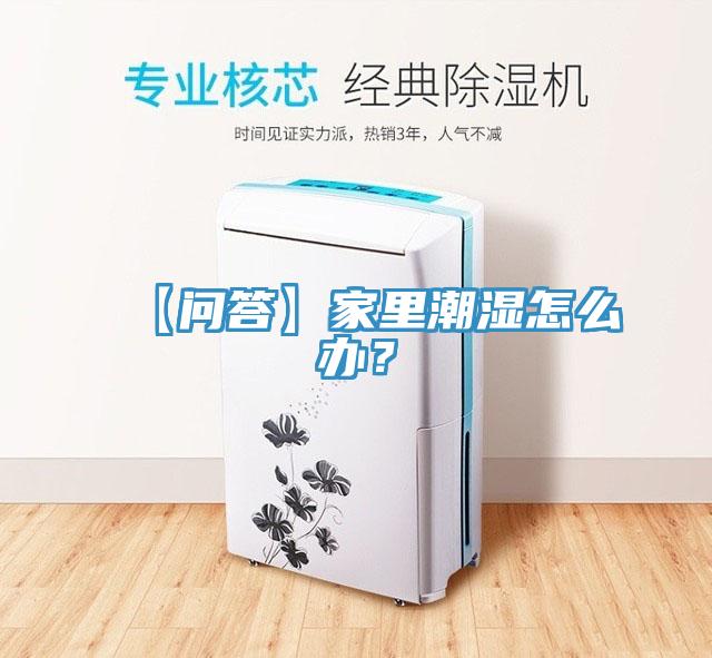 【問答】家裏潮濕怎麽辦？