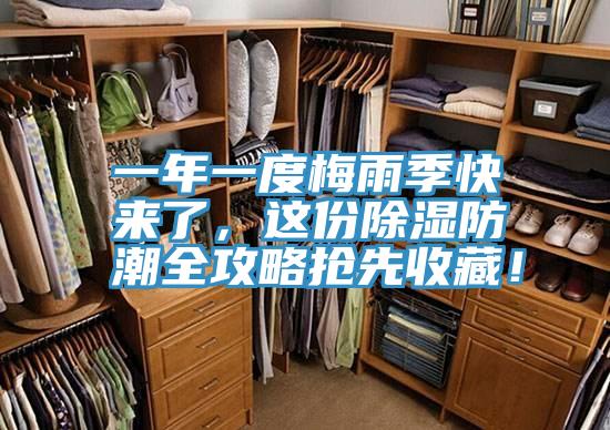 一年一度梅雨季快來了，這份除濕防潮全攻略搶先收藏！