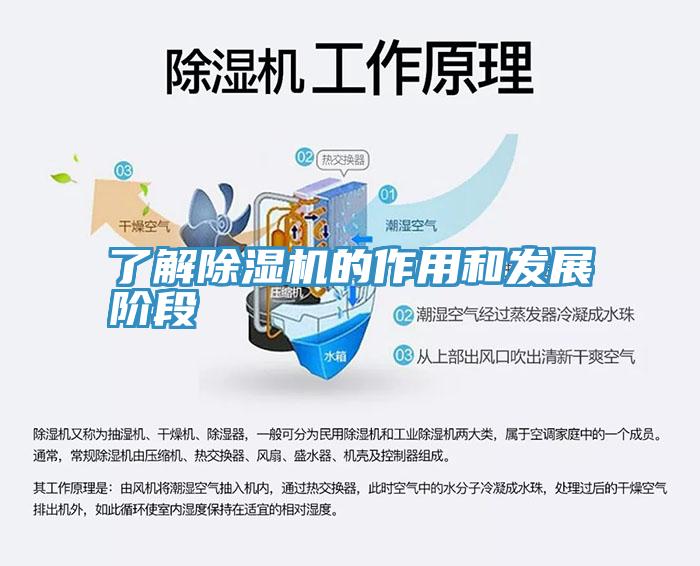 了解91看片软件大全的作用和發展階段