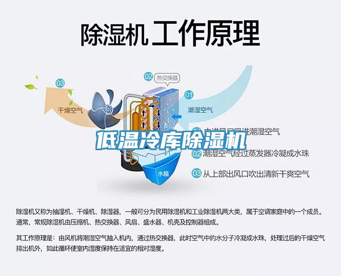 低溫冷庫91看片软件大全