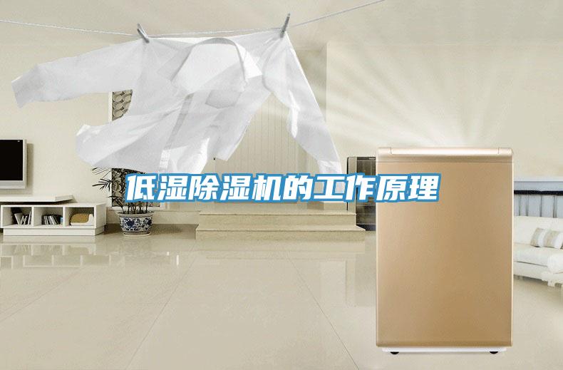 低濕91看片软件大全的工作原理