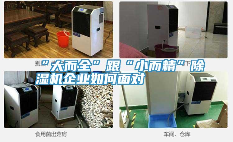 “大而全”跟“小而精”91看片软件大全企業如何麵對