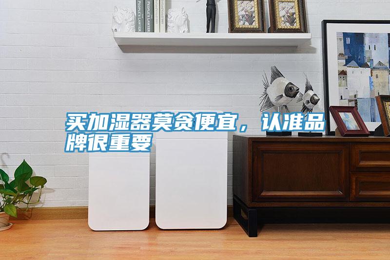 買加濕器莫貪便宜，認準品牌很重要