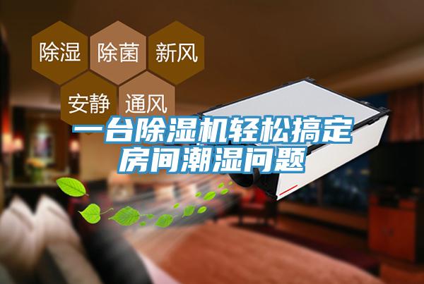 一台91看片软件大全輕鬆搞定房間潮濕問題