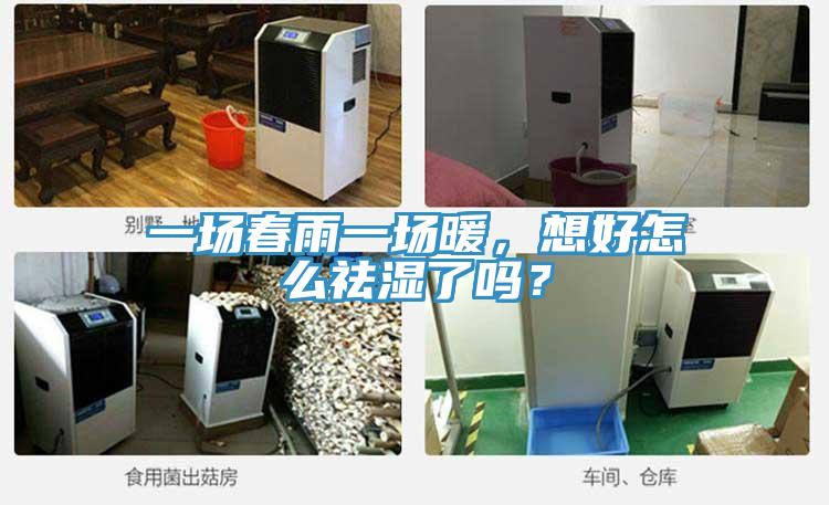 一場春雨一場暖，想好怎麽祛濕了嗎？