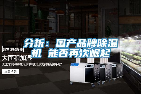 分析：國產品牌91看片软件大全 能否再次崛起
