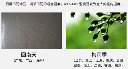 防潮91看片软件大全