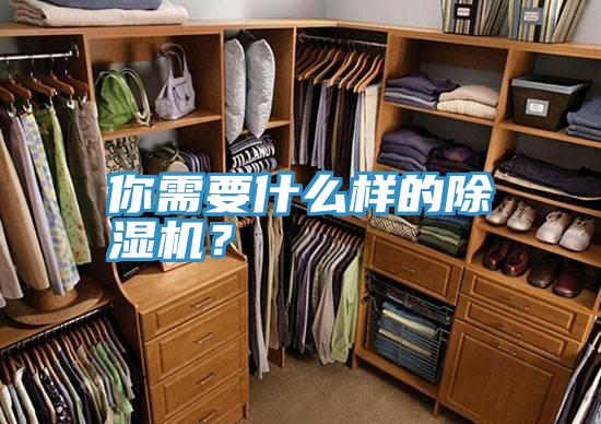 你需要什麽樣的91看片软件大全？