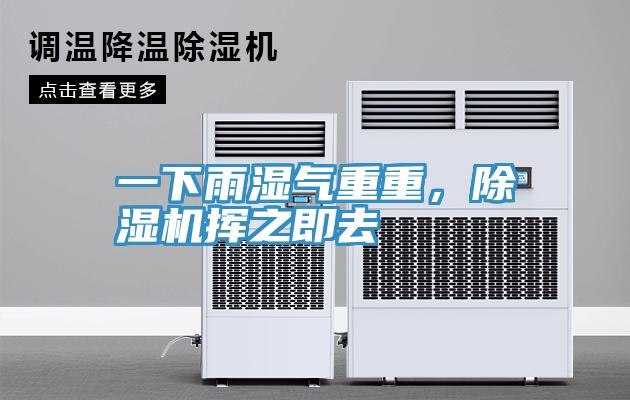 一下雨濕氣重重，91看片软件大全揮之即去