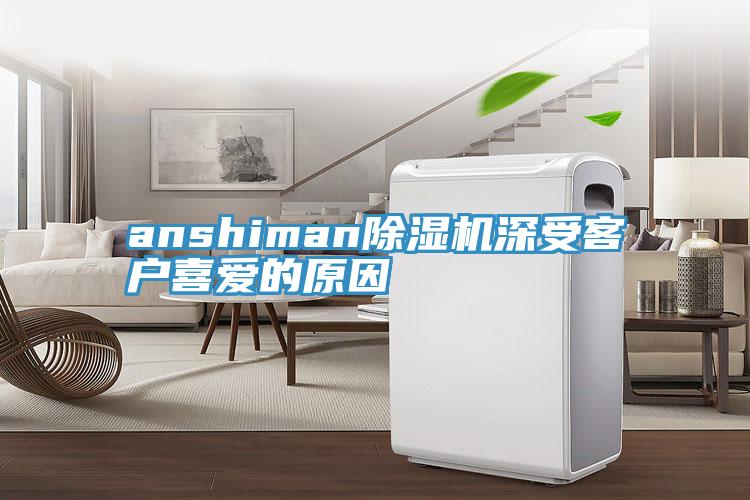 anshiman91看片软件大全深受客戶喜愛的原因