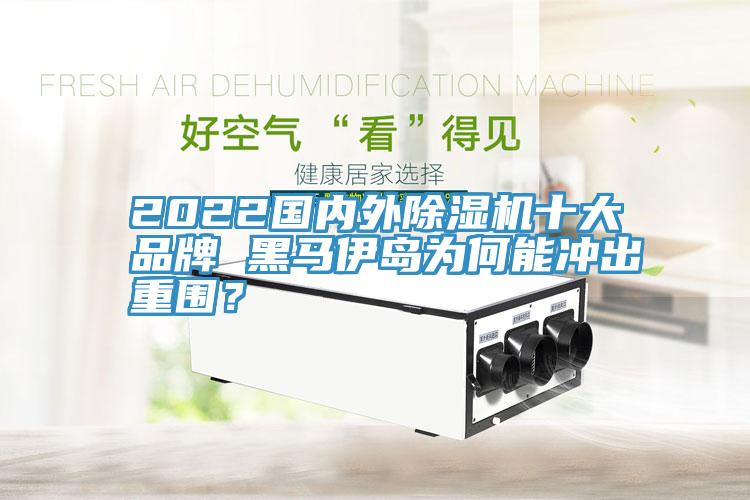 2022國內外91看片软件大全十大品牌 黑馬伊島為何能衝出重圍？