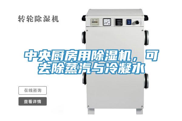 中央廚房用91看片软件大全，可去除蒸汽與冷凝水