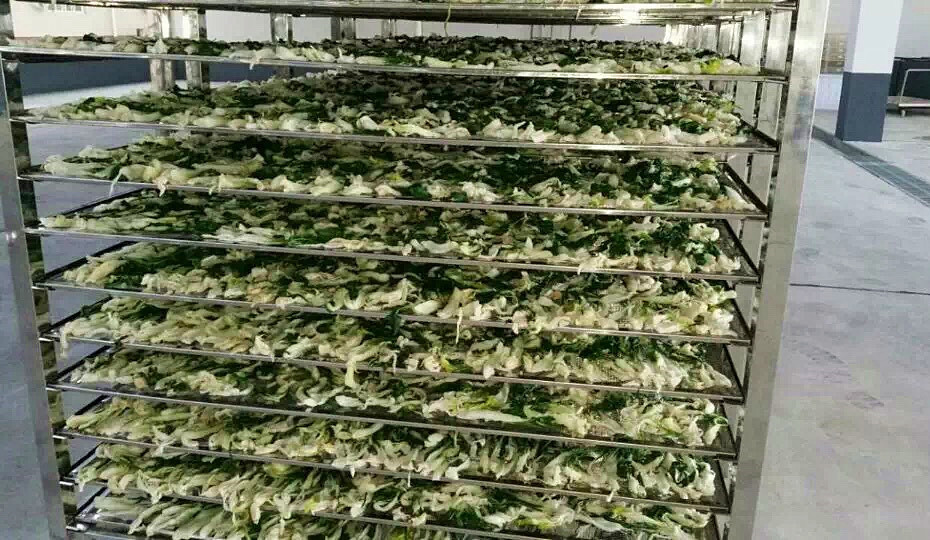菜幹需求一直都很大，蔬菜烘幹機很有市場
