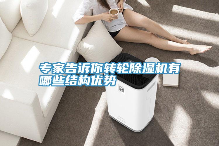 專家告訴你轉輪91看片软件大全有哪些結構優勢