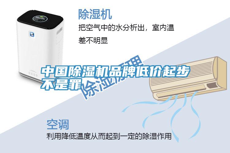 中國91看片软件大全品牌低價起步不是罪