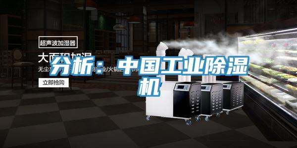 分析：中國工業91看片软件大全