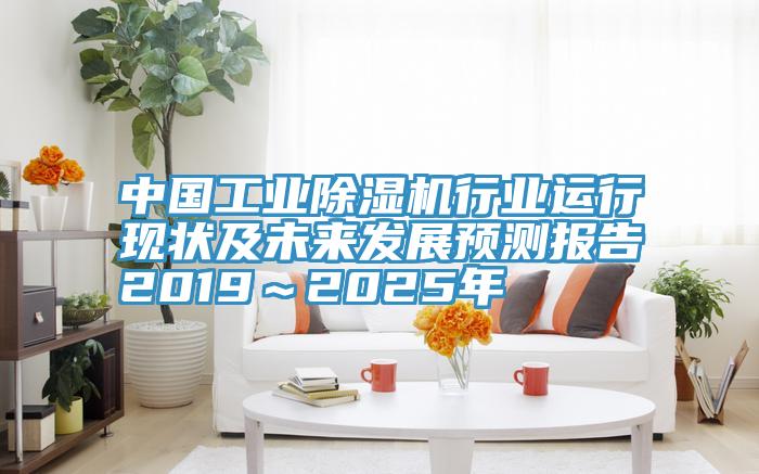 中國工業91看片软件大全行業運行現狀及未來發展預測報告2019～2025年