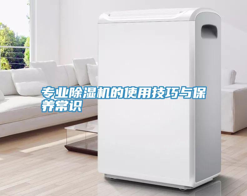 專業91看片软件大全的使用技巧與保養常識