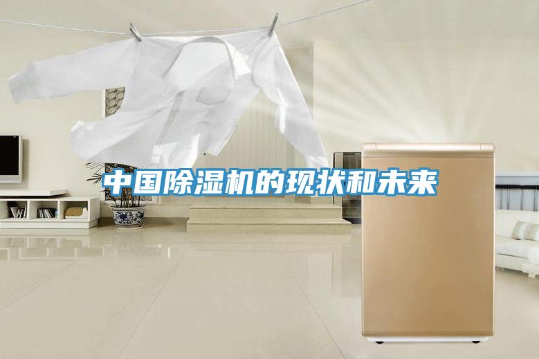 中國91看片软件大全的現狀和未來