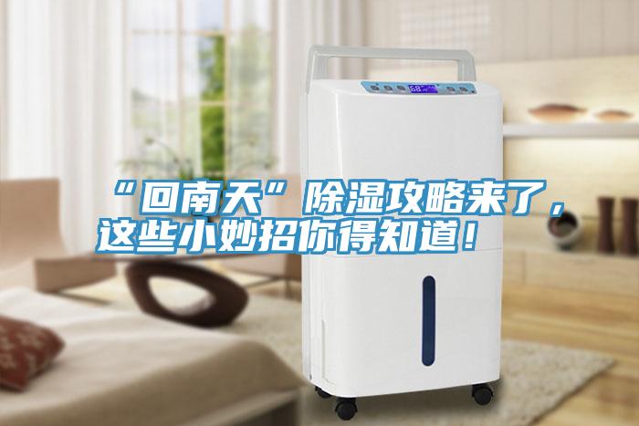 “回南天”除濕攻略來了，這些小妙招你得知道！