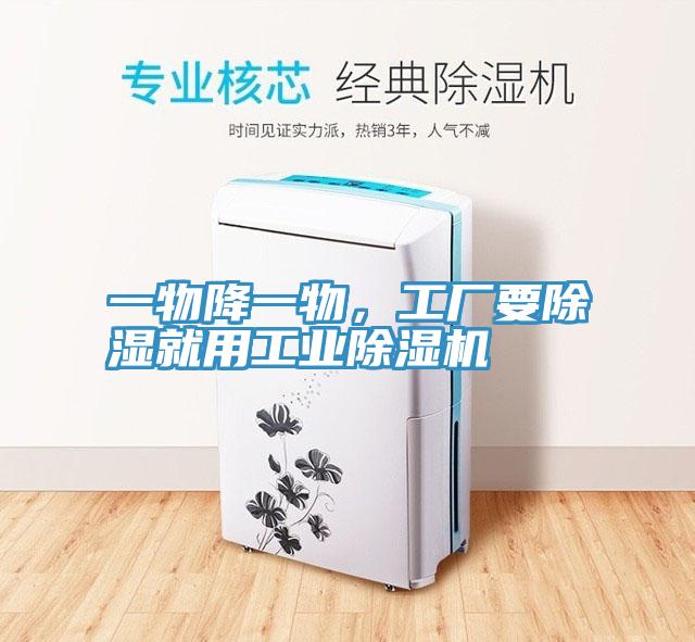 一物降一物，工廠要除濕就用工業91看片软件大全