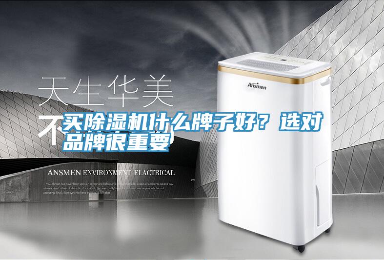 買91看片软件大全什麽牌子好？選對品牌很重要