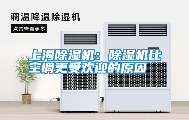 上海91看片软件大全：91看片软件大全比空調更受歡迎的原因