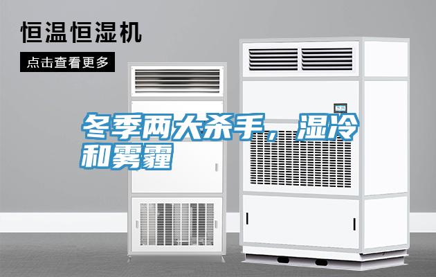 冬季兩大殺手，濕冷和霧霾