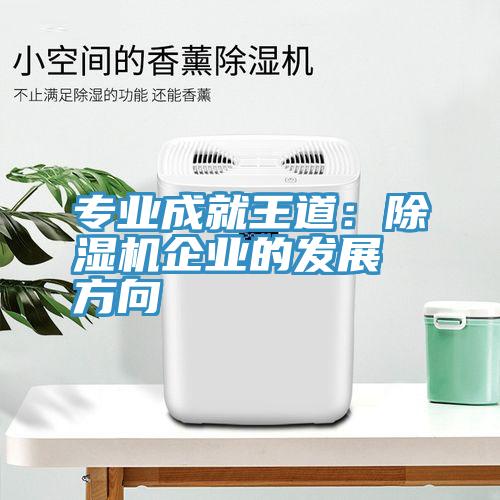 專業成就王道：91看片软件大全企業的發展方向