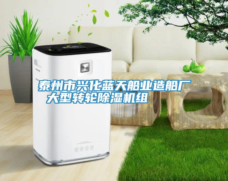 泰州市興化藍天船業造船廠 大型轉輪91看片软件大全組