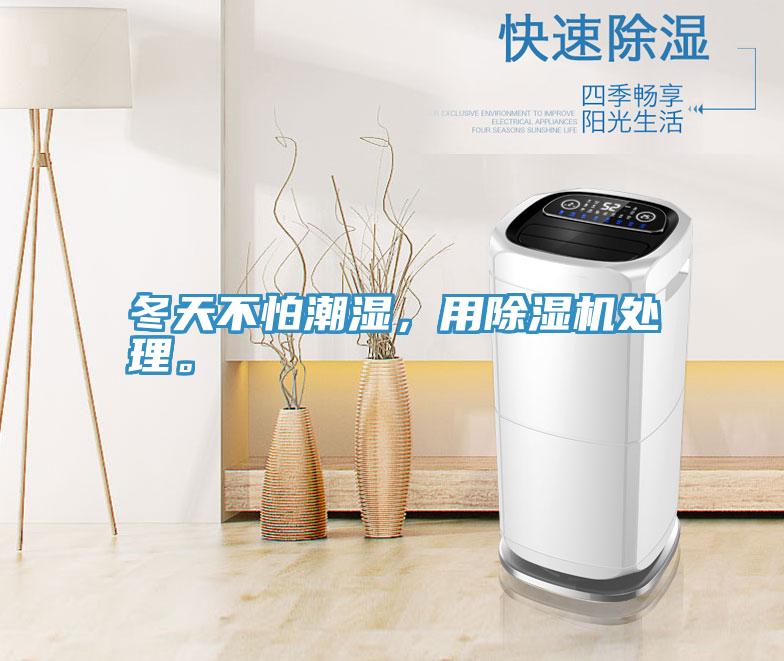 冬天不怕潮濕，用91看片软件大全處理。