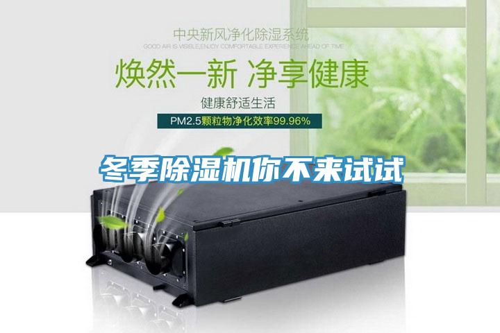冬季91看片软件大全你不來試試