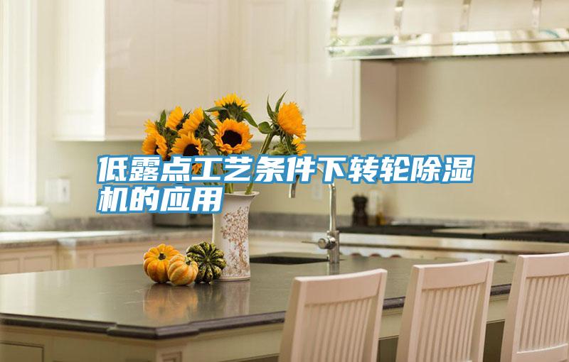 低露點工藝條件下轉輪91看片软件大全的應用