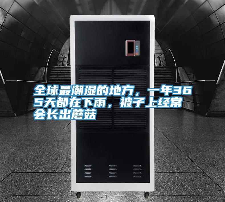 全球最潮濕的地方，一年365天都在下雨，被子上經常會長出蘑菇