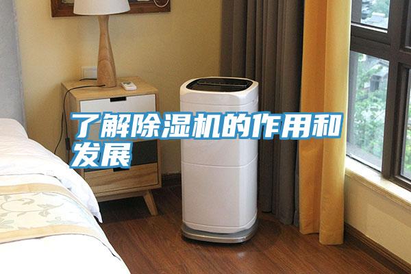了解91看片软件大全的作用和發展