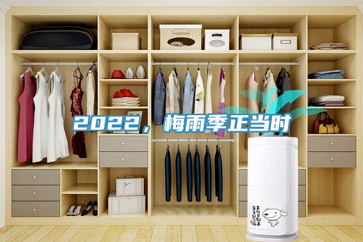 2022，梅雨季正當時