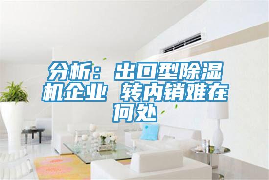 分析：出口型91看片软件大全企業 轉內銷難在何處